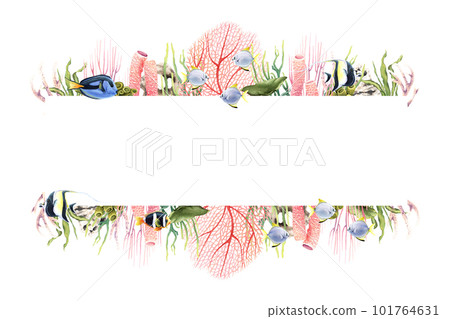 Horizontal banner with underwater corals, plants and tropical fish. Hand drawn watercolor illustration isolated on white 101764631