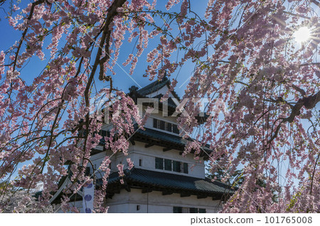 Hirosaki Castle with Blossoms Hirosaki Castle with Blossoms 101765008