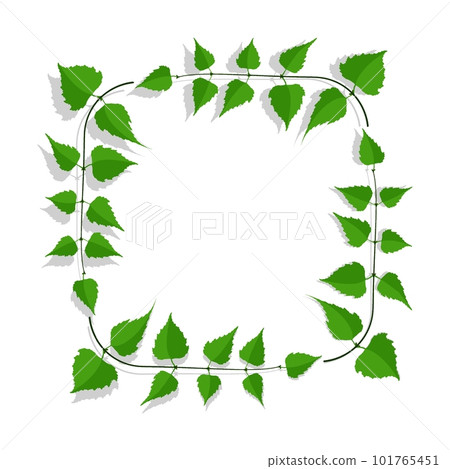 Decorative frame made of thin birch twigs and green leaves. Floral ornament for design and decoration of invitations and posters. Square frame. Vector Decorative frame made of thin birch twigs and green leaves. Floral ornament for design and decoration of invitations and posters. Square frame. Vector 101765451