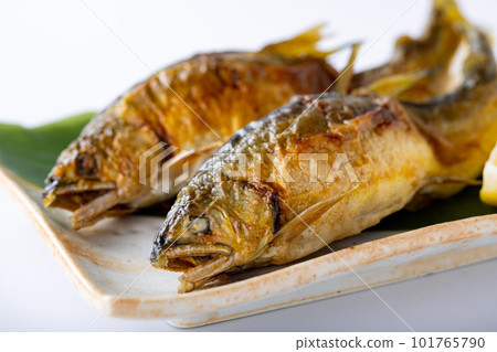 Sweetfish grilled 101765790