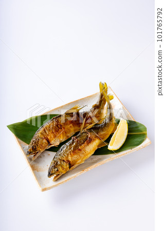 Sweetfish grilled 101765792