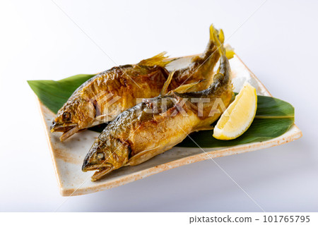 Sweetfish grilled 101765795