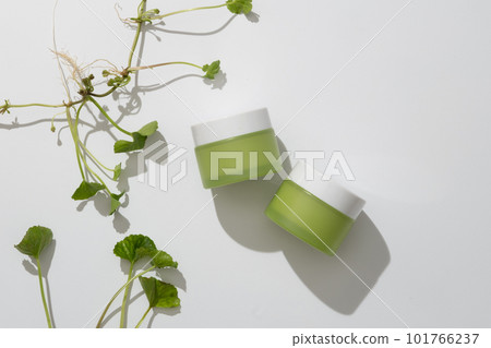 Top view of gotu kola leaves and two cosmetic jars unbranded decorated on white background. For the creation of natural cosmetics good for skin, gotu kola is a component worth mentioning. Top view of gotu kola leaves and two cosmetic jars unbranded decorated on white background. For the creation of natural cosmetics good for skin, gotu kola is a component worth mentioning. 101766237