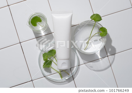 Plastic tube placed on petri dish and beaker containing liquid and gotu kola leaves. Gotu kola has anti-inflammatory, anti-acne, anti-aging, skin lightening, darkening, scar reduction effects Plastic tube placed on petri dish and beaker containing liquid and gotu kola leaves. Gotu kola has anti-inflammatory, anti-acne, anti-aging, skin lightening, darkening, scar reduction effects 101766249