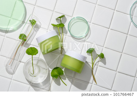 Green cosmetic containers displayed with glass petri dish and Gotu kola leaves. Beauty treatment medical skincare and cosmetic lotion cream mockup packaging of Gotu kola (Centella asiatica) extract 101766467
