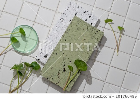 Two empty stone podiums decorated with glass petri dish containing green liquid and Gotu kola leaves. Blank space for beauty product presentation 101766489