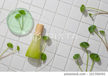 A jar placed on transparent round podium with a glass petri dish of green liquid and Gotu kola leaves. Cosmetic product branding mockup of Gotu kola (Centella asiatica) extract 101766491