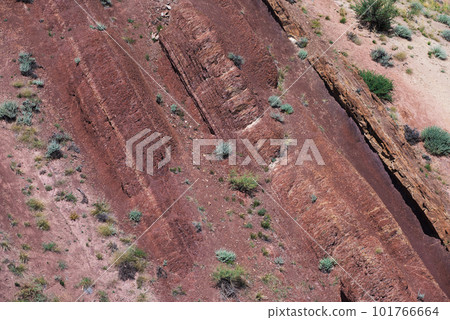 Valley of Mars landscapes 101766664