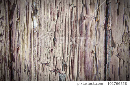 Old cracked paint on wooden planks. Selective focus Old cracked paint on wooden planks. Selective focus 101766858