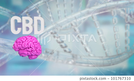 Brain and cbd text for medical or sci concept 3d rendering 101767310