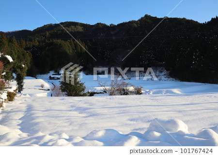 Country snow scene 101767424