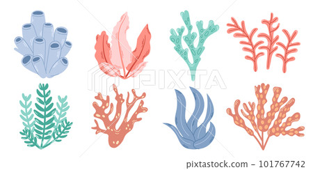 Set of 8 elements of underwater planting. Bright colorful set of seaweed and corals. Modern flat illustration. Set of 8 elements of underwater planting. Bright colorful set of seaweed and corals. Modern flat illustration. 101767742