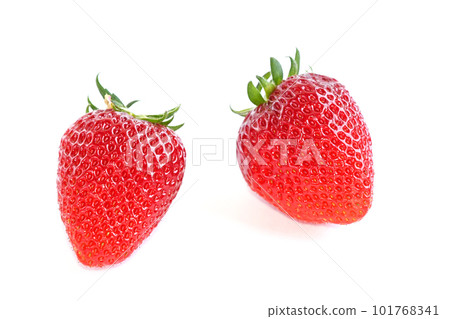 草莓（刺吻） 101768341
