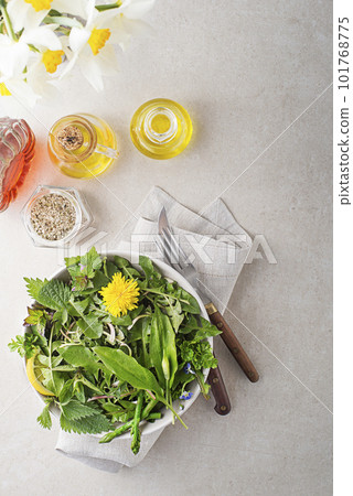 Spring herbs and plants Spring herbs and plants 101768775