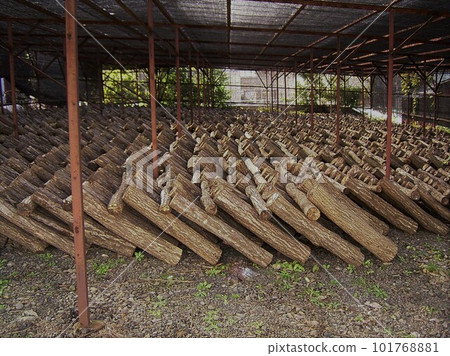 Log Hut 1 Log Hut 1 101768881