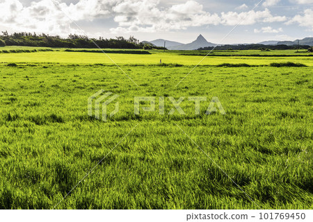 Beautiful view of Shuiwaku Prairie in Kenting National Park in Pingtung, Taiwan. 101769450