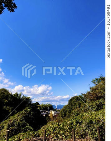 Kyoto Tower as seen from the Kyoto Trail Course 101769491