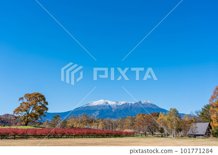 從長野縣木曾町開田高原的木曾馬之裡看到的秋天的御嶽山被白雪覆蓋 從長野縣木曾町開田高原的木曾馬之裡看到的秋天的御嶽山被白雪覆蓋 101771284