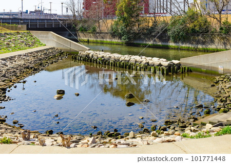 Scenery of HAT Yume Park, at HAT Kobe, Chuo Ward, Kobe City Scenery of HAT Yume Park, at HAT Kobe, Chuo Ward, Kobe City 101771448