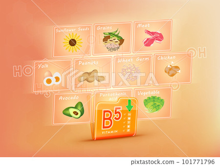 Folder collect vitamin B5 orange. There is a screen projecting out pictures of fruits and vegetables. Vitamin that neutralize free radicals. Anti aging beauty concept and health care. 3D vector EPS10. 101771796
