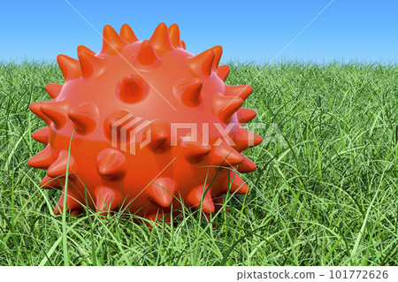 Spiky ball for massage or toy for pets on the green grass against blue sky, 3D rendering 101772626