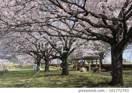 Haga Town Nogawa Shinsui Park Haga Town Nogawa Shinsui Park 101772703