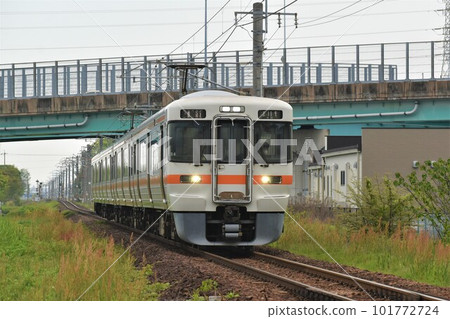 JR Central Japan Railway 313 series JR Central Japan Railway 313 series 101772724
