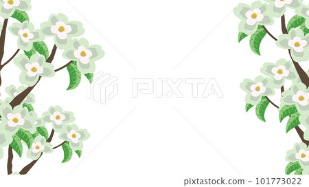 Dogwood white frame Dogwood white frame 101773022