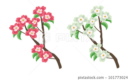 Dogwood 2 colors Dogwood 2 colors 101773024
