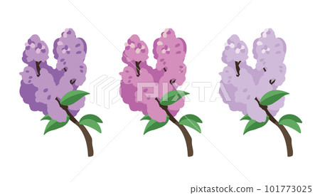 Lilac 3 colors Lilac 3 colors 101773025