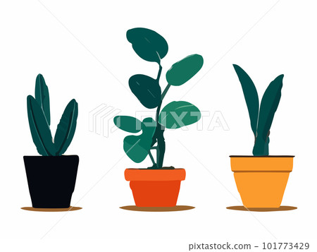 Urban jungle, trendy home decor with plants, cacti, tropical leaves in stylish planters and pots. Urban jungle, trendy home decor with plants, cacti, tropical leaves in stylish planters and pots. 101773429