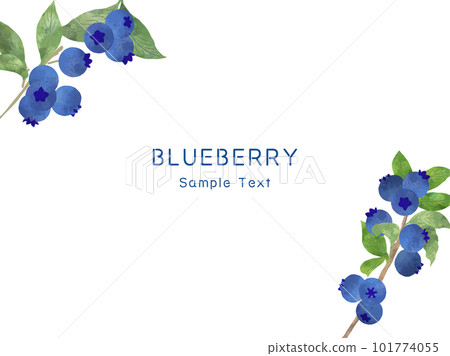 Background illustration of fresh blueberries in watercolor style 101774055