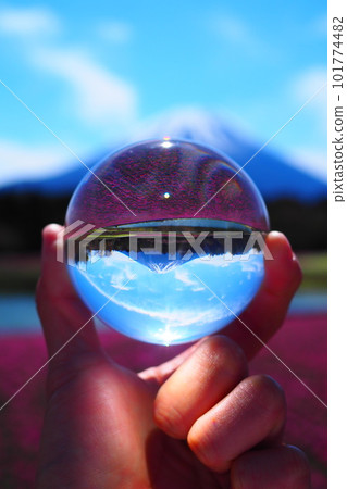 Mt.Fuji and moss phlox reflected in a glass ball Mt.Fuji and moss phlox reflected in a glass ball 101774482
