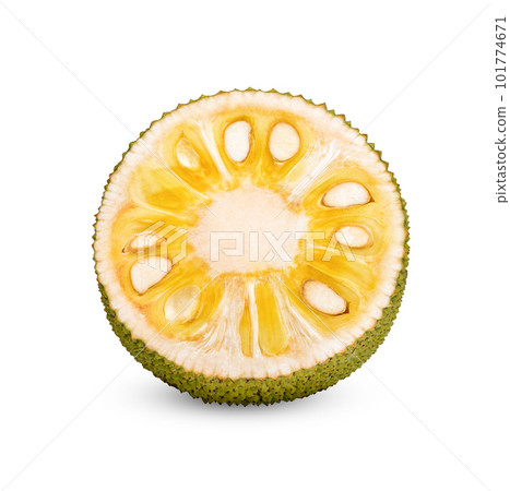 Ripe half Jackfruit isolated on white background 101774671