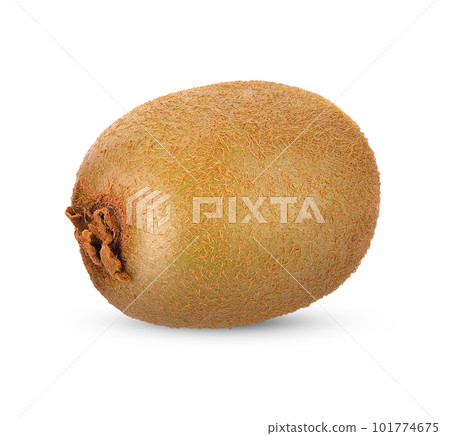 Fresh Kiwi fruit isolated on white background 101774675