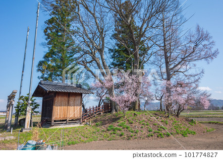 Spring Otsuka Shrine/Mimizuka [Hotaka, Azumino City] 101774827