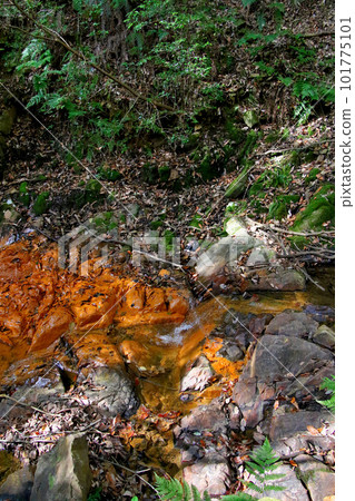 Nakayama Traverse Asharai River Fountain Rock Nakayama Traverse Asharai River Fountain Rock 101775101