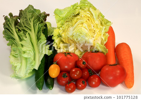 vegetable ingredients vegetable ingredients 101775128