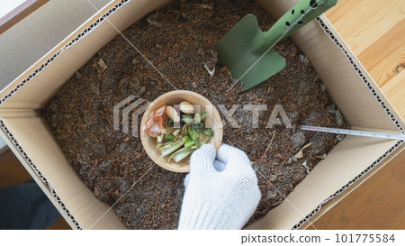 Image of eco-friendly cardboard composting at home Image of eco-friendly cardboard composting at home 101775584