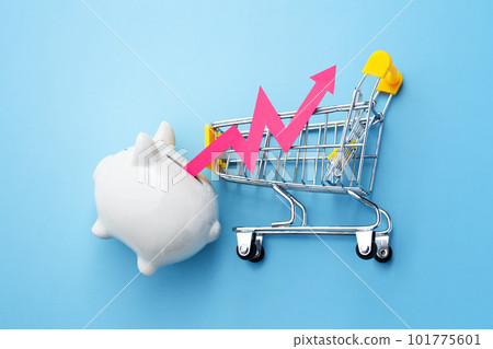 Inflation and consumer price increasing concept with red graph rising out of piggy bank with shopping cart Inflation and consumer price increasing concept with red graph rising out of piggy bank with shopping cart 101775601
