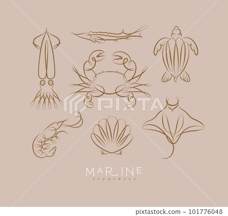 Filigree swirl marine creatures brown 101776048