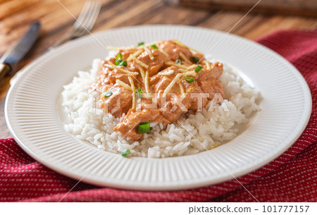 Brazilian strogonoff in plate with rice and potato straw. Brazilian strogonoff in plate with rice and potato straw. 101777157