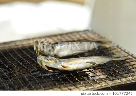Whole dried sardines grilled on a charcoal brazier Whole dried sardines grilled on a charcoal brazier 101777245