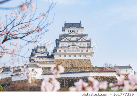 Himeji Castle in spring Sakura view Himeji Castle in spring Sakura view 101777389