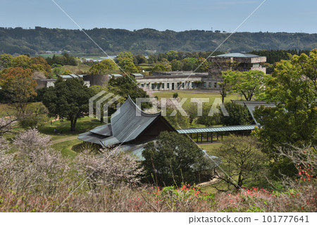 "Miyazaki Prefecture" Saitobaru Archaeological Museum Spring scenery 101777641