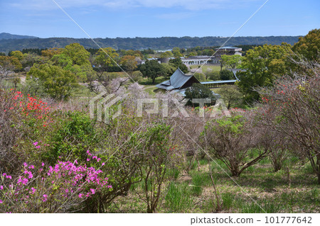 “宮崎縣”西都原考古博物館春天的景色 101777642