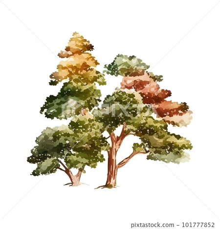 Watercolor tree hand draw vector nature painting Watercolor tree hand draw vector nature painting 101777852