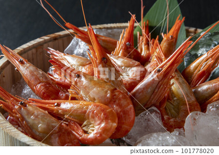 fresh shrimp on ice 101778020
