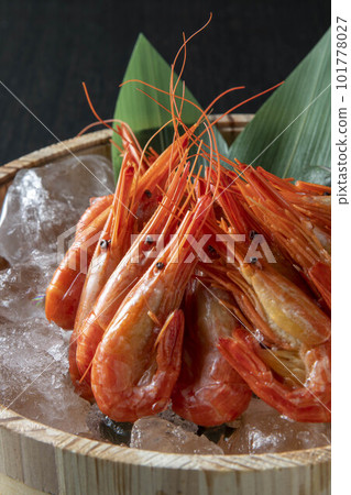 fresh shrimp on ice 101778027