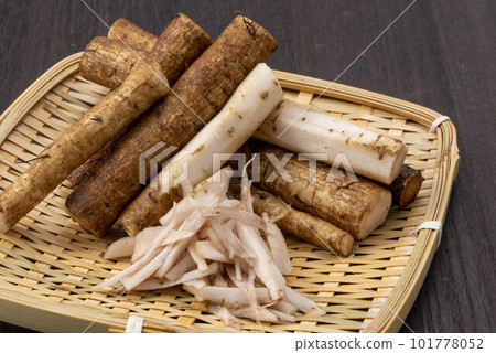 新鮮牛蒡 101778052